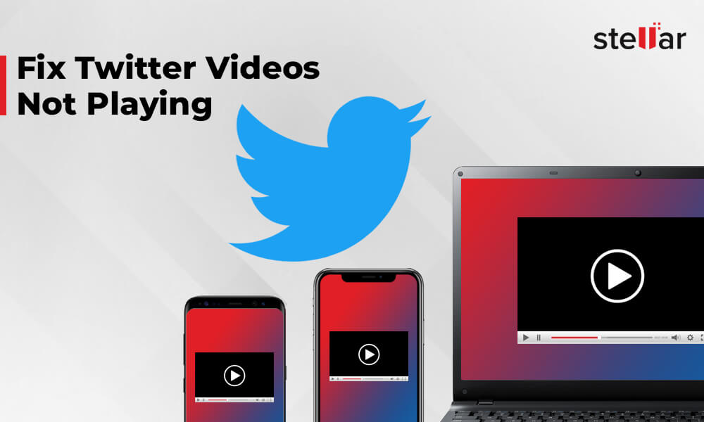 twitter video not playing
